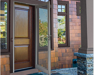 Storm Door