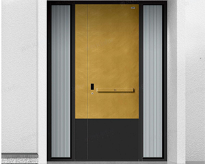 Entry Door