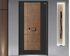 Security Door 